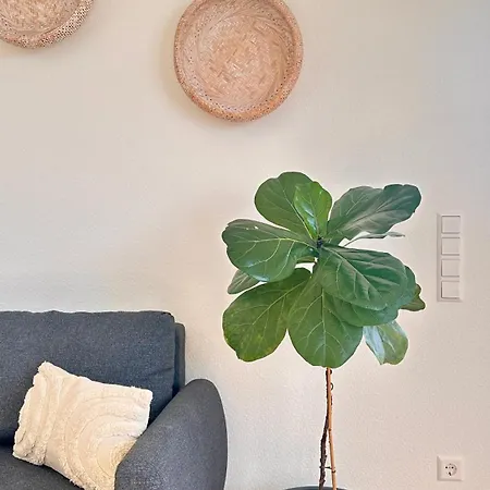 Amao-obsidian - Spacious - 8 Guests - 2 Parking Spaces Apartamento